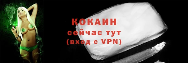 тгк Арсеньев