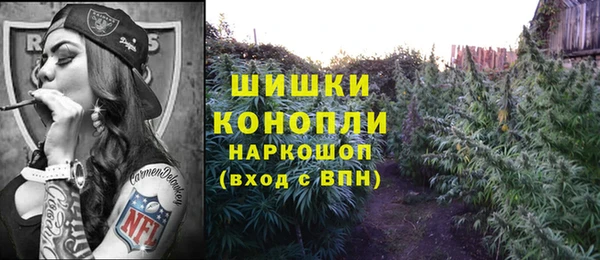 ешки Алексин